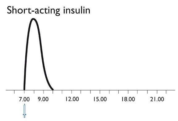 ei den kurz wirkenden Insulinen tritt die Wirkung praktisch sofort (10 Minuten nach der Injektion) ein. Die höchste Wirksamkeit entwickelt sich nach 60 (30 bis 90) Minuten. Die gesamte Wirkung hält zwei bis drei Stunden an. 