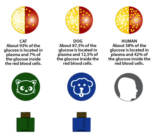 Die Verteilung von Glukose und Plasma im Blut von Menschen und Tieren ist unterschiedlich.