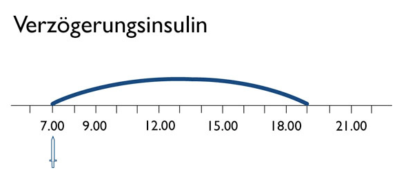 Verzögerungs­insulin deckt den ständigen Grund­bedarf des Körpers an Insulin und wird deshalb auch Basa­linsulin (Fasten­insulin) genannt.
