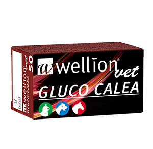 WellionVet GLUCO CALEA Blutzuckerteststreifen für Hunde, Katzen und Pferde WellionVet GLUCO CALEA Blutzuckerteststreifen für Hunde, Katzen und Pferde
